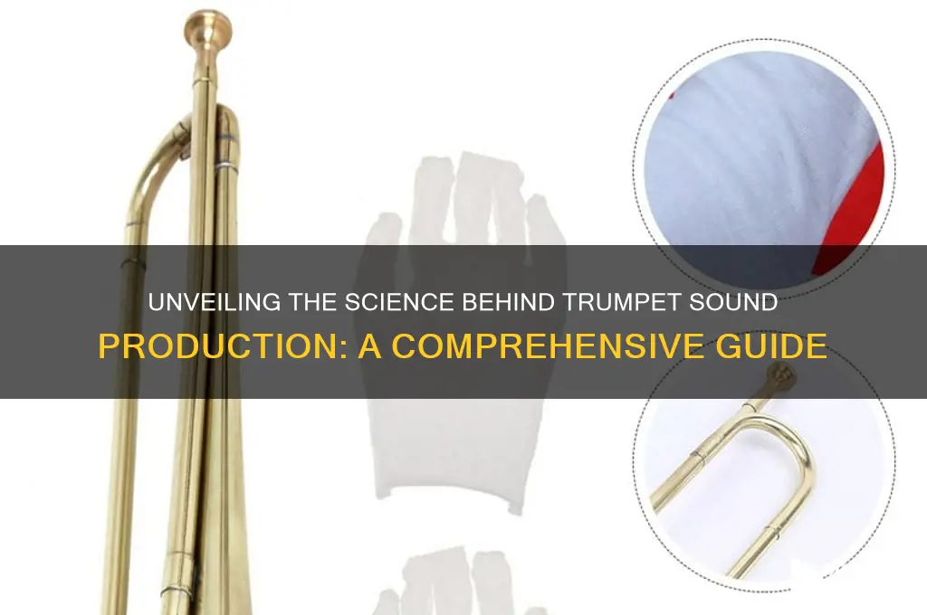 how is trumpet sound made