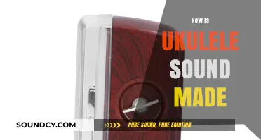 Understanding the Vibrant Mechanics Behind Ukulele Sound Creation