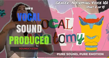 Understanding Vocal Sound Production: The Science Behind Human Voice Creation