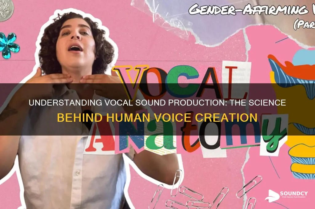 how is vocal sound produced