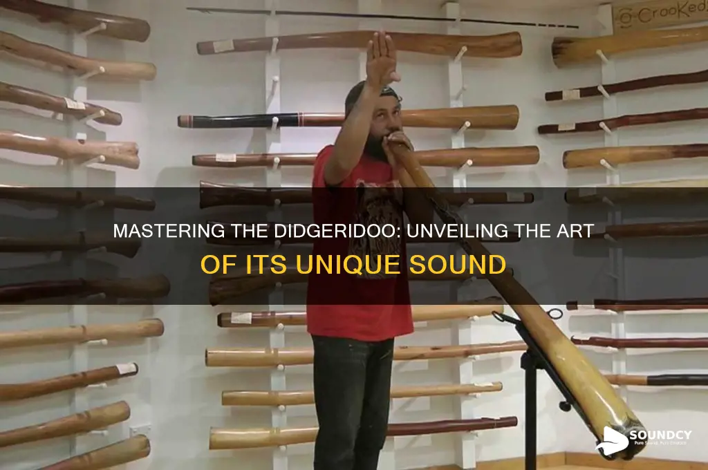 how isa didgeridoo made sound