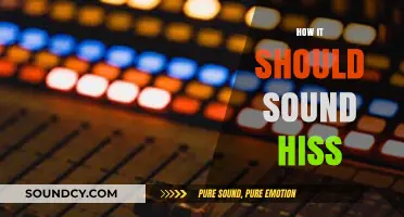 Mastering the Hiss: Crafting the Perfect Sound for Impact and Clarity