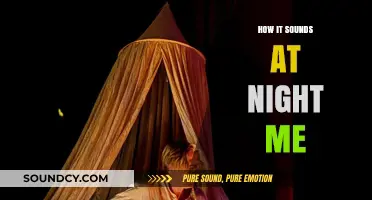 The Night's Whispers: Exploring the Sounds of Solitude and Silence