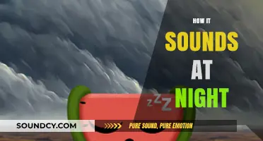 Whispers of the Night: Exploring the Sounds After Sunset