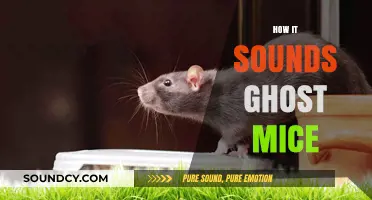 Eerie Whispers: Unveiling the Haunting Sounds of Ghost Mice