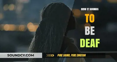 Hearing Silence: Understanding the Unique Soundscape of Deafness