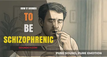 Hearing the Unseen: A Schizophrenic's Auditory World Explored