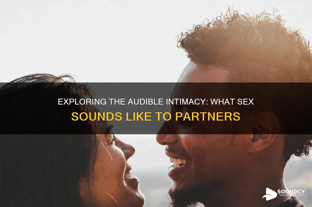 how it sounds to have sex
