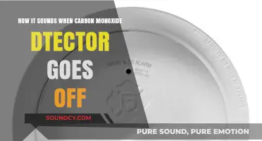 What to Expect: The Alarming Sound of a Carbon Monoxide Detector