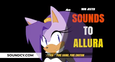 How Jester's Voice Resonates with Allura: A Sonic Exploration