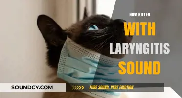 Understanding the Unique Meow: How Kittens with Laryngitis Sound
