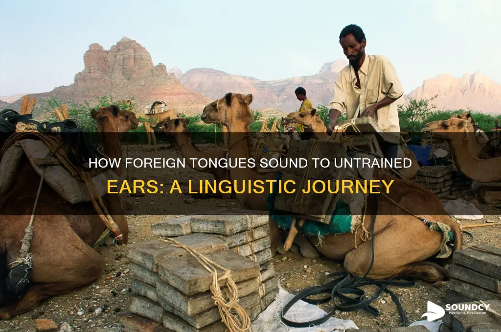how languages sound to foreigners