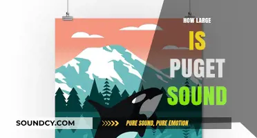 Exploring Puget Sound's Vast Size and Geographic Reach in Washington