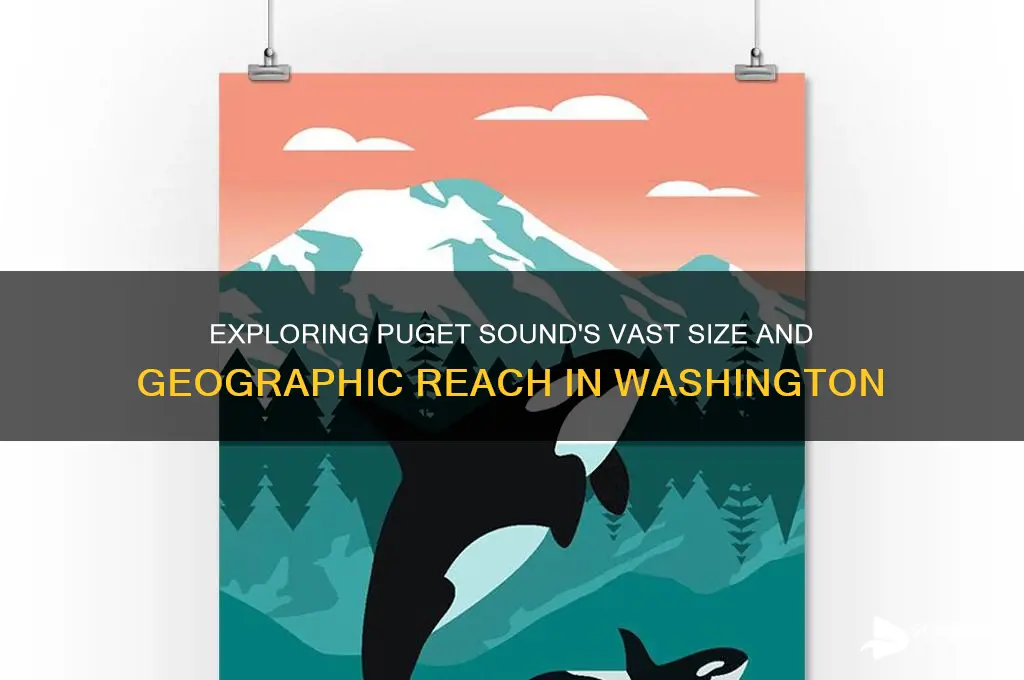 how large is puget sound