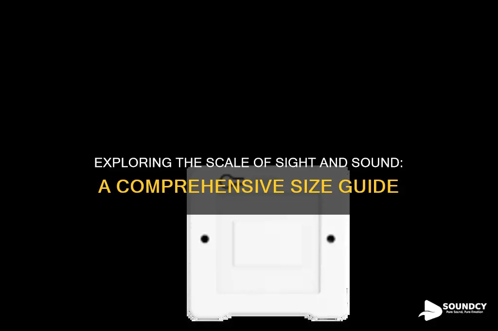 how large is sight and sound