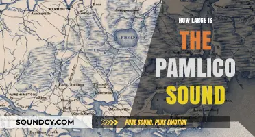 Exploring the Pamlico Sound: Size, Significance, and Surprising Facts
