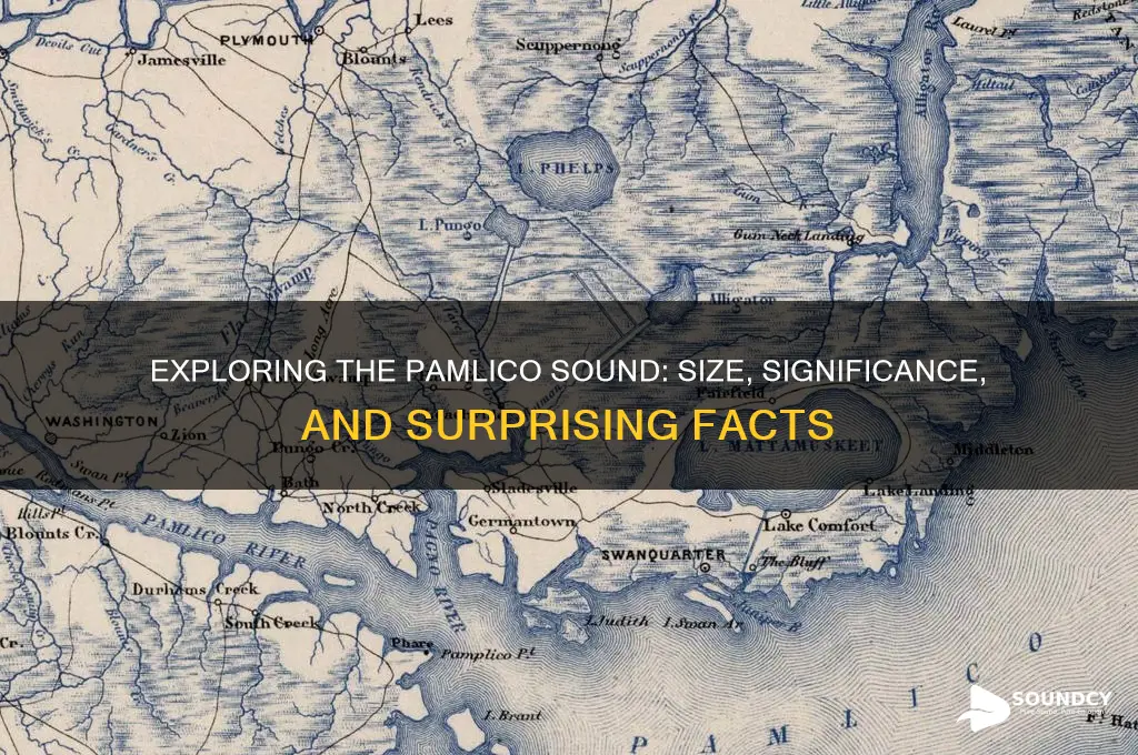 how large is the pamlico sound