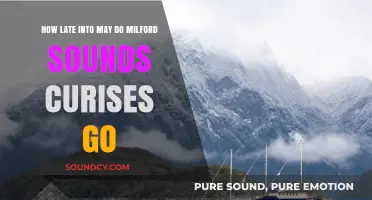 Exploring Milford Sound: May Cruise Availability and Late-Season Options