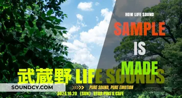 Crafting Life's Soundtrack: The Art of Creating Life Sound Samples