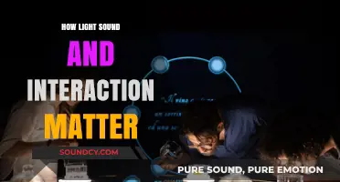 Exploring Light, Sound, and Interaction: How Sensory Elements Shape Our World
