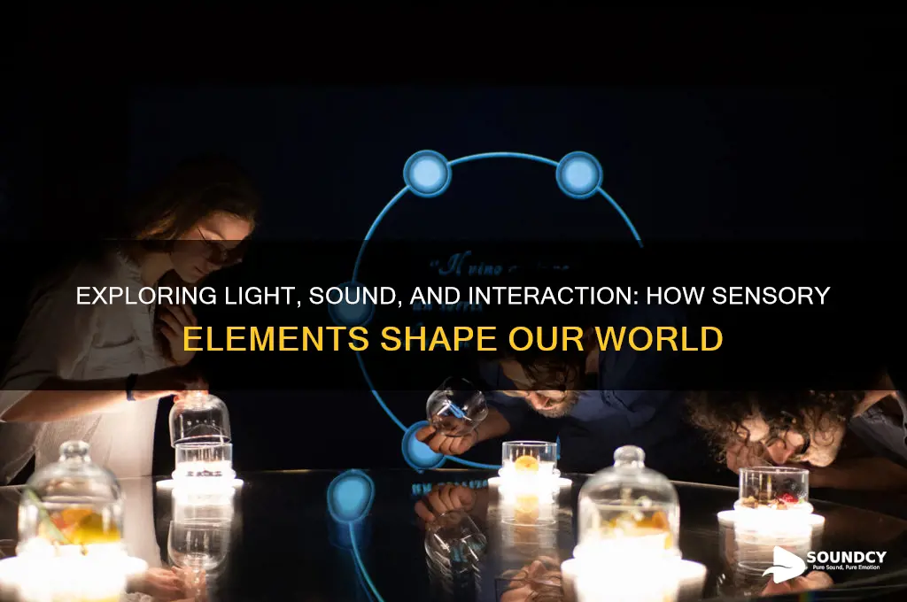 how light sound and interaction matter