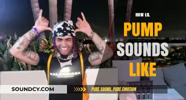 Unraveling Lil Pump's Unique Vocal Style and Signature Sound