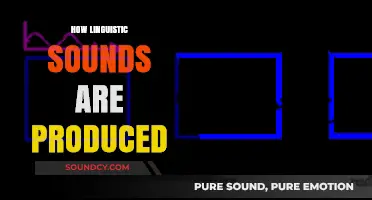Unraveling the Art of Speech: How Linguistic Sounds Are Produced