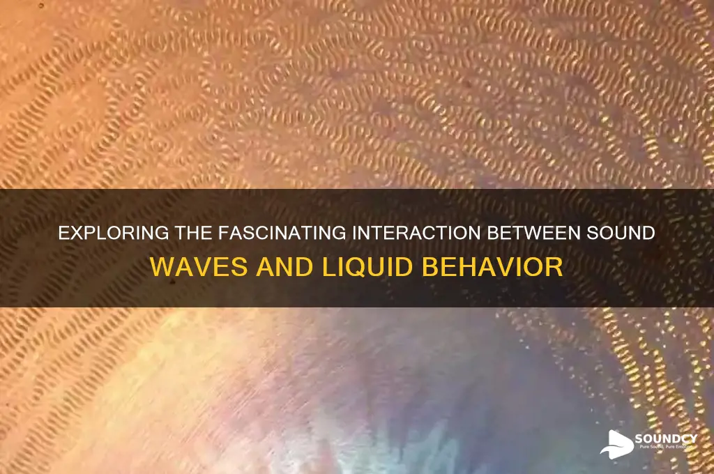 how liquid reacts to sound