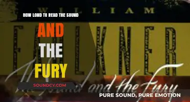 Mastering Faulkner's Complexity: A Guide to Reading The Sound and the Fury