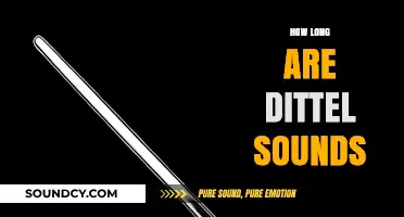 Understanding Dittel Sounds: Duration, Purpose, and Clinical Significance Explained