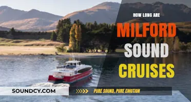 Exploring Milford Sound: Cruise Durations and What to Expect