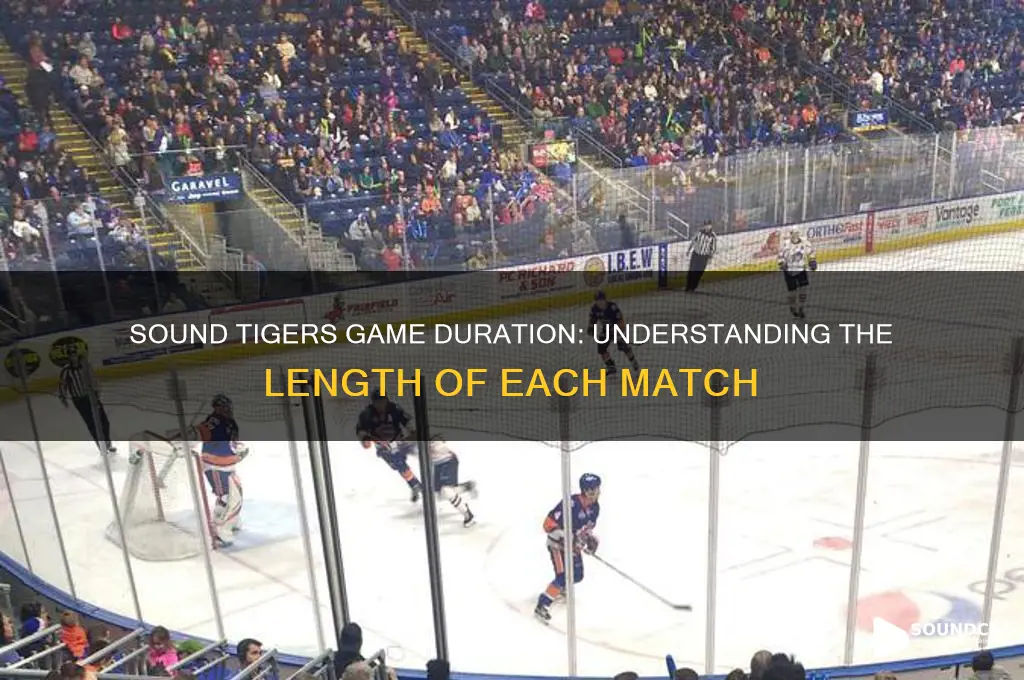 how long are sound tiger games