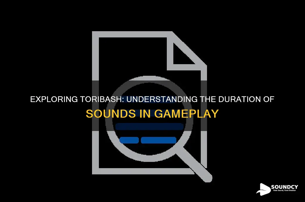 how long are sounds toribash