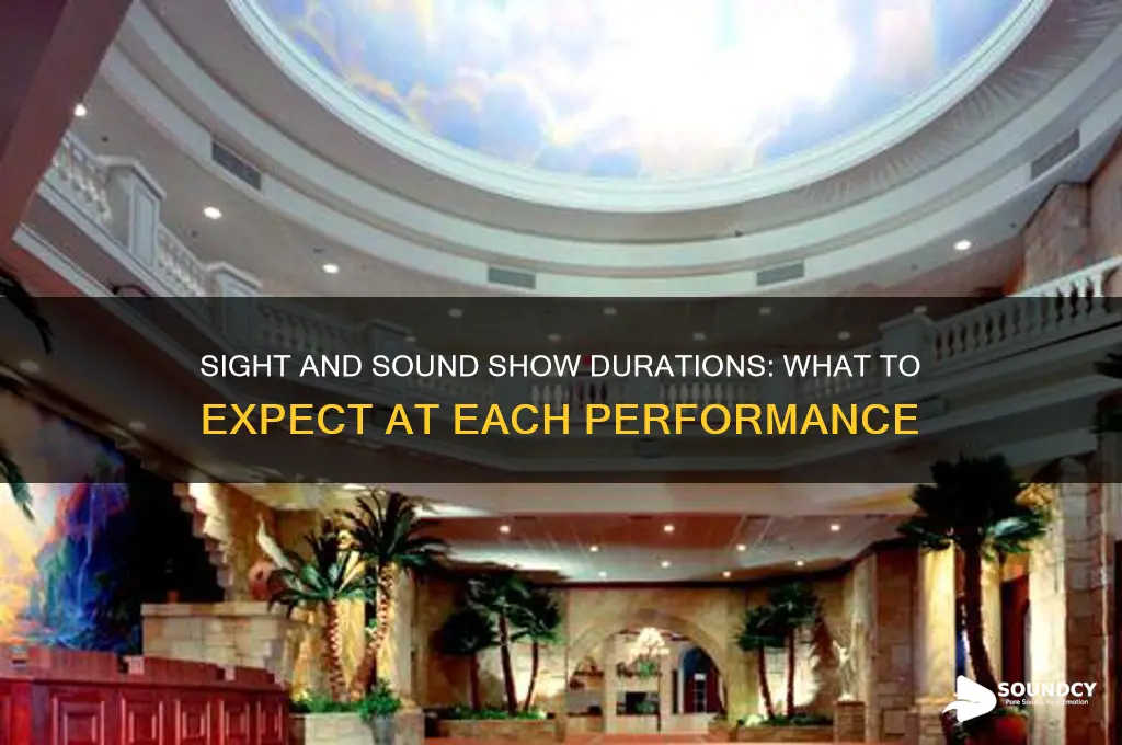 how long are the shows at sight and sound