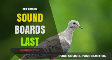 Sound Board Lifespan: Factors Affecting Durability and Longevity
