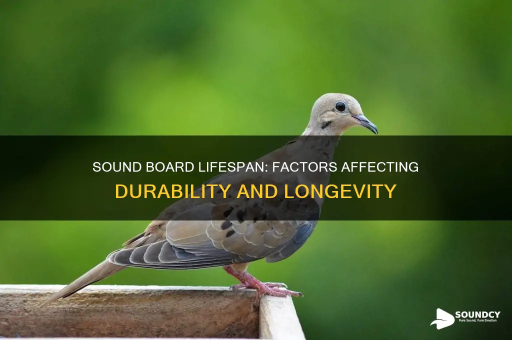 how long do sound boards last