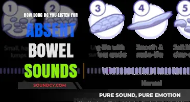 Understanding Absent Bowel Sounds: Optimal Listening Duration for Accurate Assessment