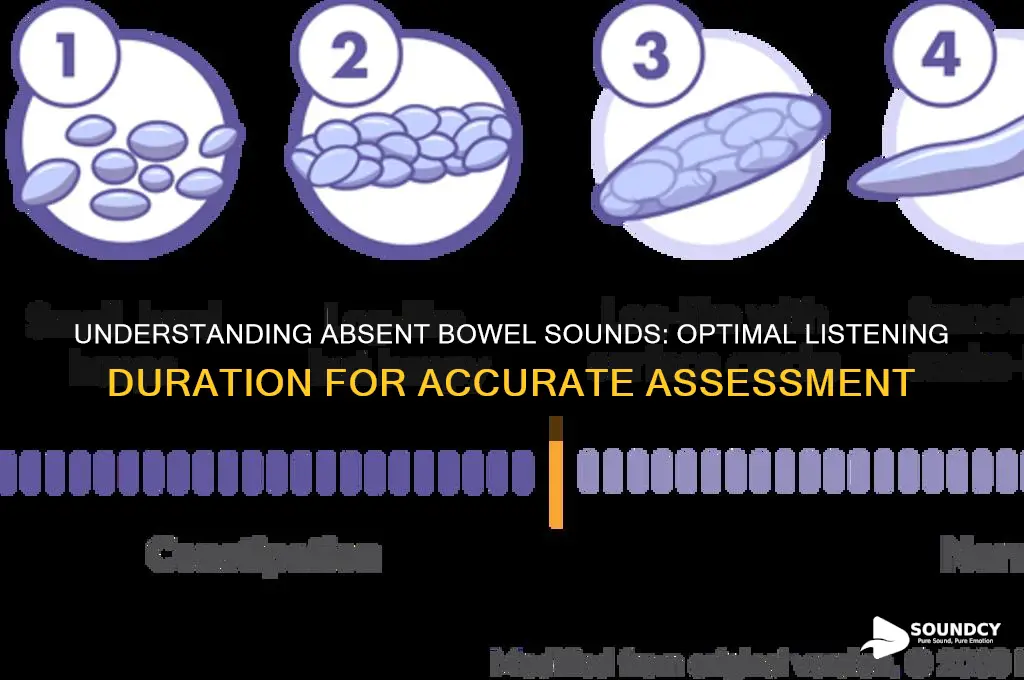 how long do you listen for absent bowel sounds