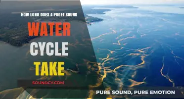 Exploring the Duration of Puget Sound's Water Cycle Journey