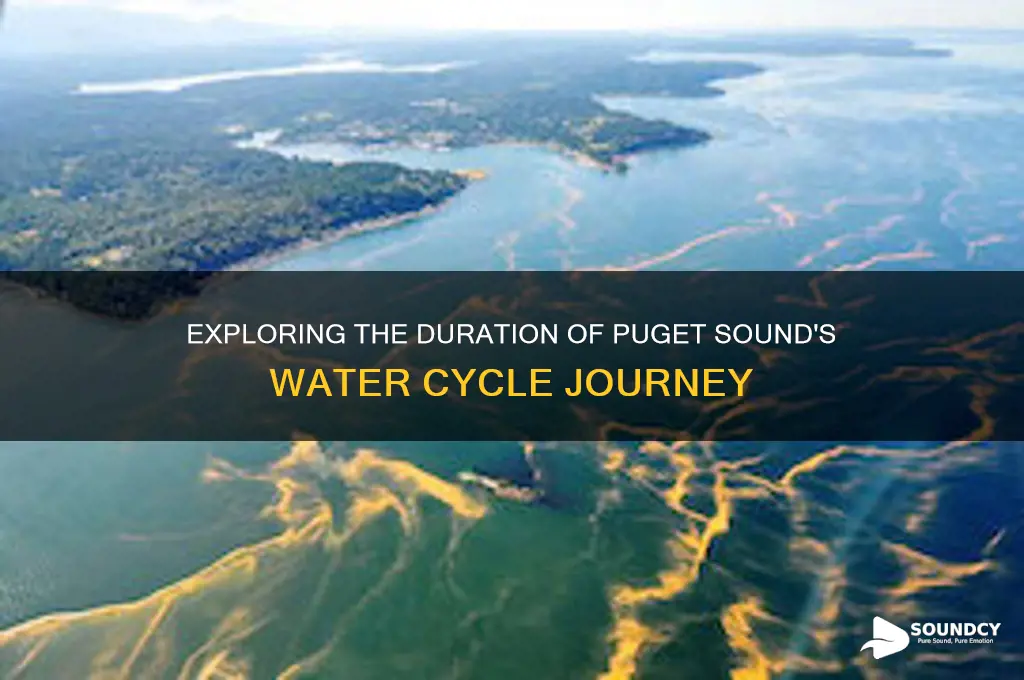 how long does a puget sound water cycle take