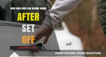 How Long Does a Car Alarm Sound After Being Triggered?