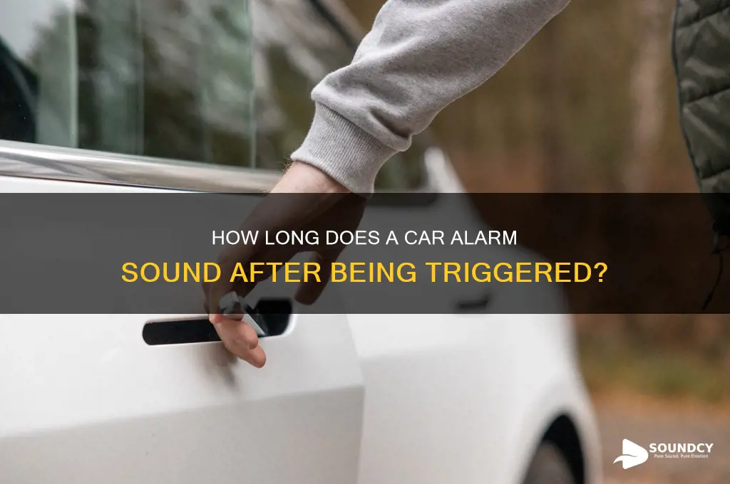 how long does car alarm sound after set off