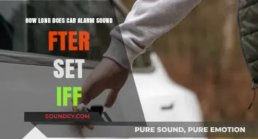 How Long Does a Car Alarm Sound After Being Triggered?