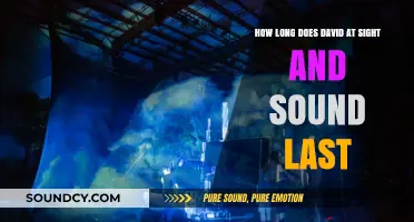 David at Sight & Sound: Show Duration and What to Expect
