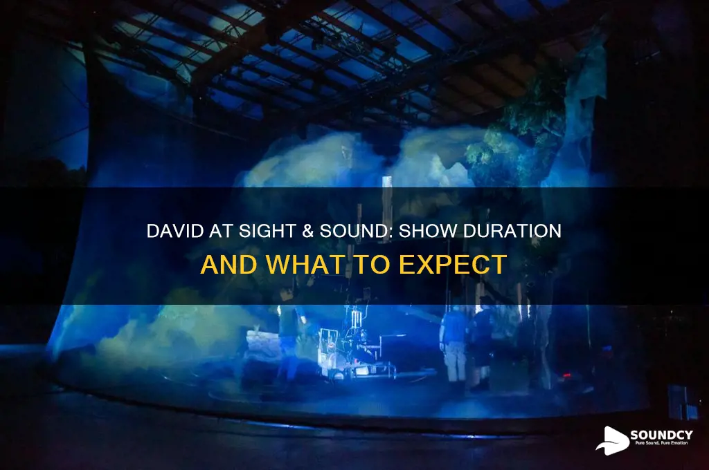 how long does david at sight and sound last