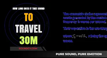 Sound Travel Time: How Long to Cover 30 Meters?