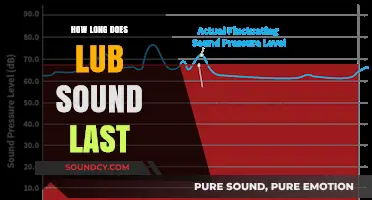 Understanding the Duration of Lub Sound: What to Expect