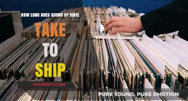 Sound of Vinyl Shipping Time: What to Expect for Your Order