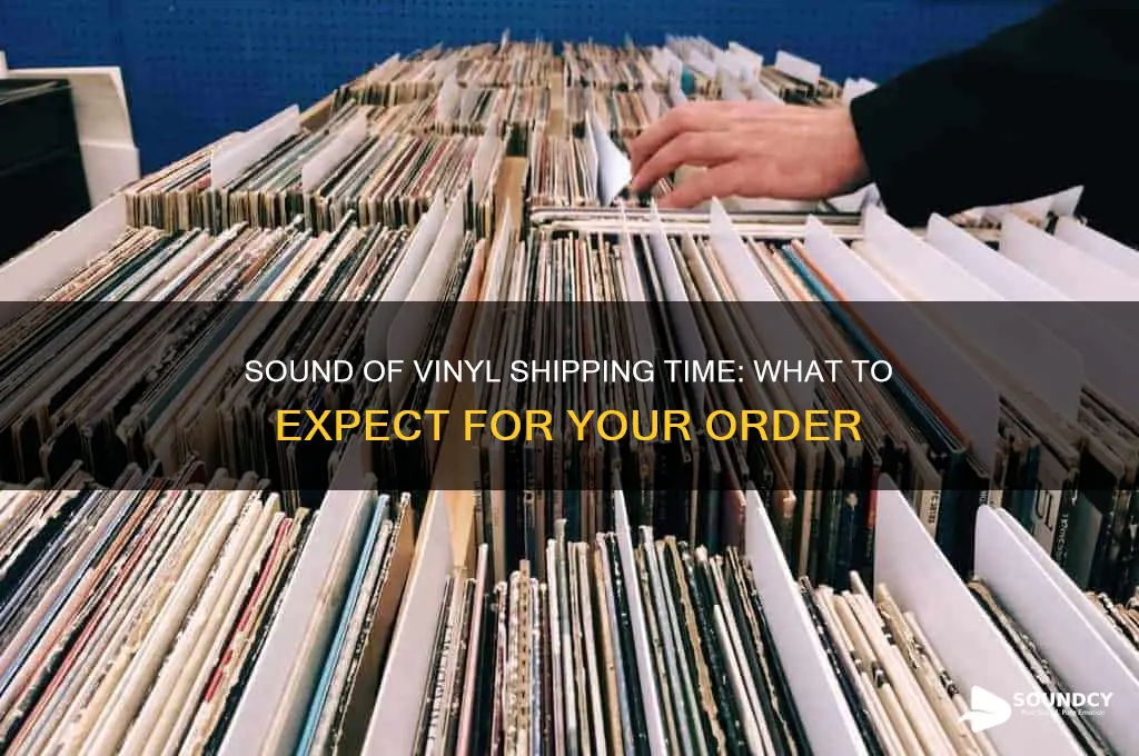 how long does sound of vinyl take to ship