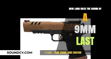 How Long Does a 9mm Gunshot Echo in the Air?